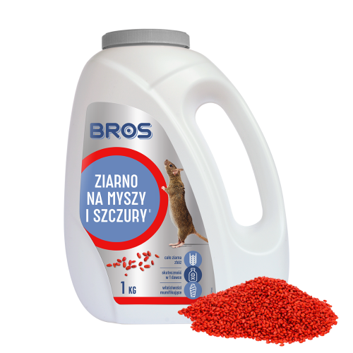 bros ziarno (1).png