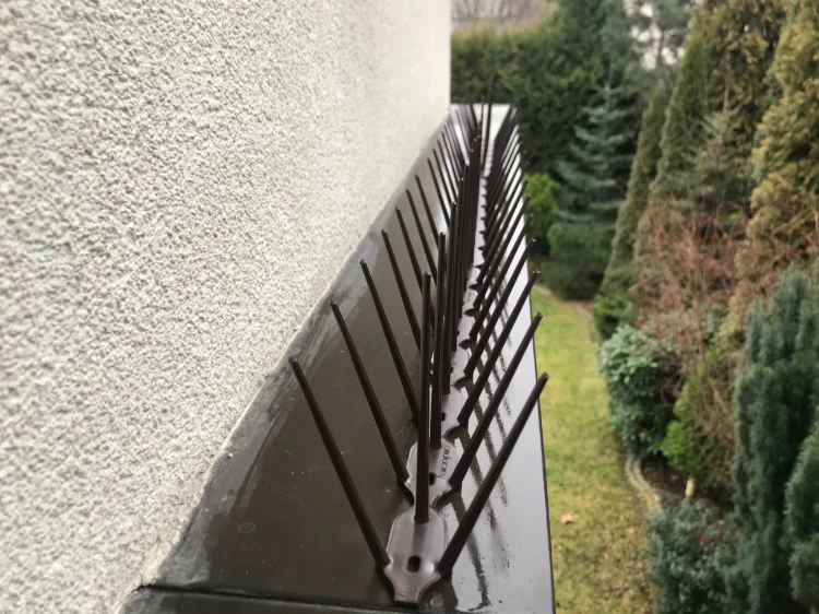 kolce plastikowe
