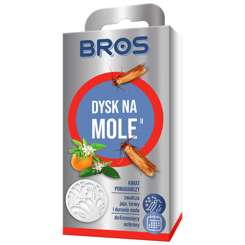 BROS-dysk-na-mole-kwiat-pomaranczy-NL-5904517084988-15.03.22.png