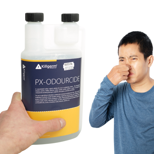 pxodor (2).png