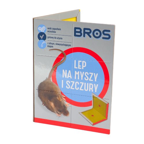 lep bros (1).png