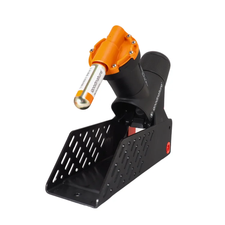 g241 (1).png