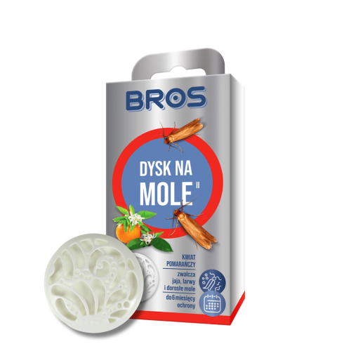 dysk kw.png