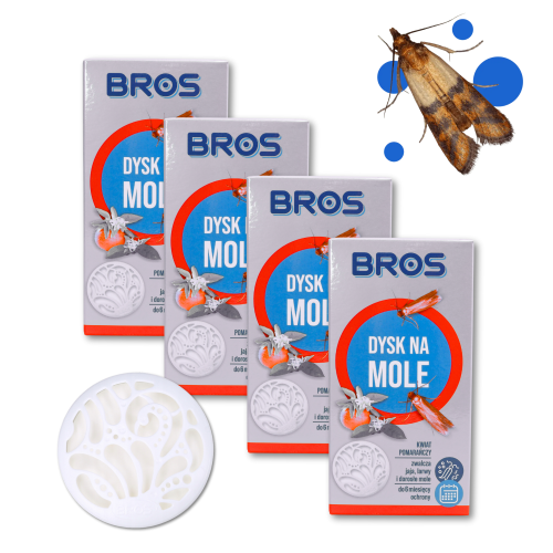 4xmole (3).png