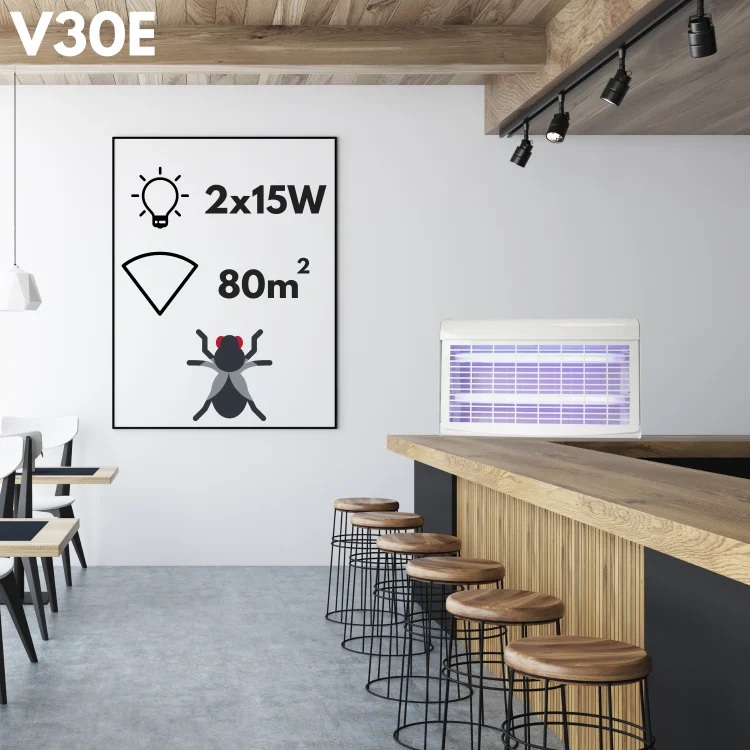v30 (7).png