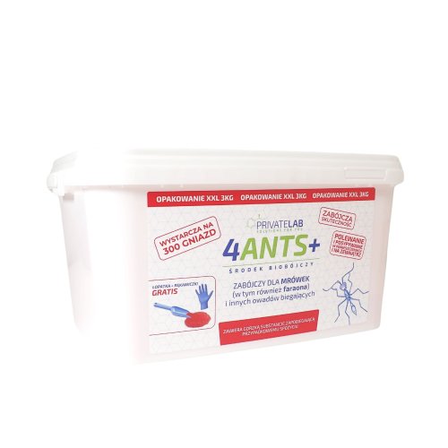 4ants (1).jpg