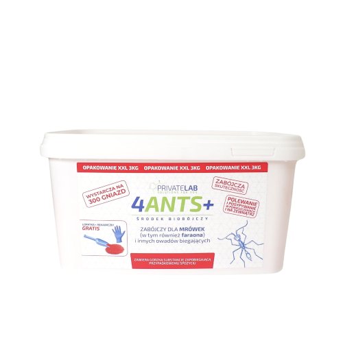 4ants.jpg