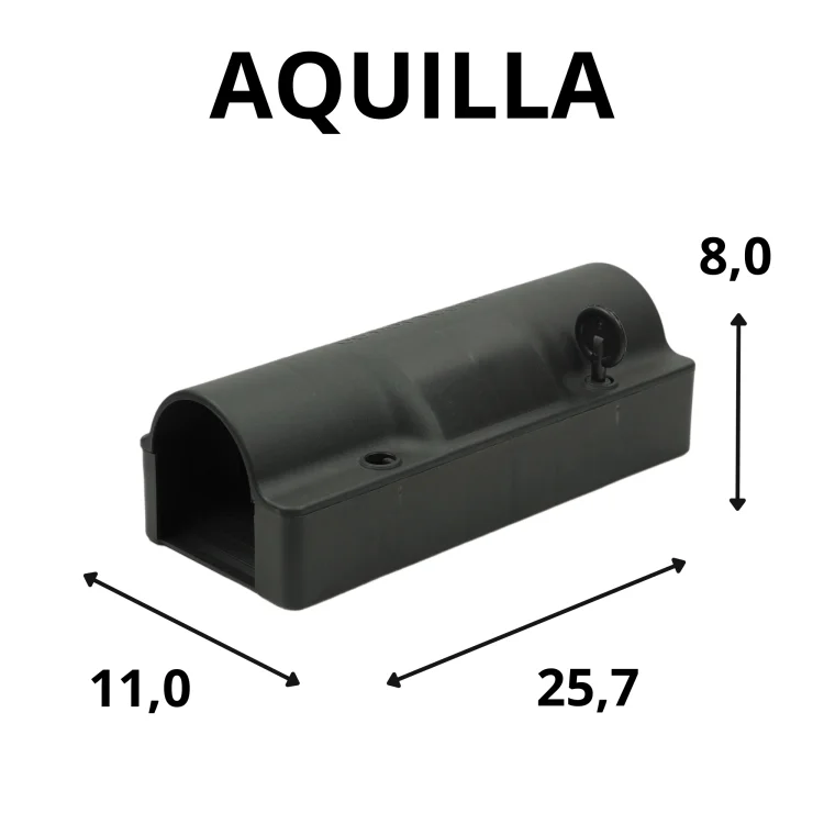 aquillafinal.png