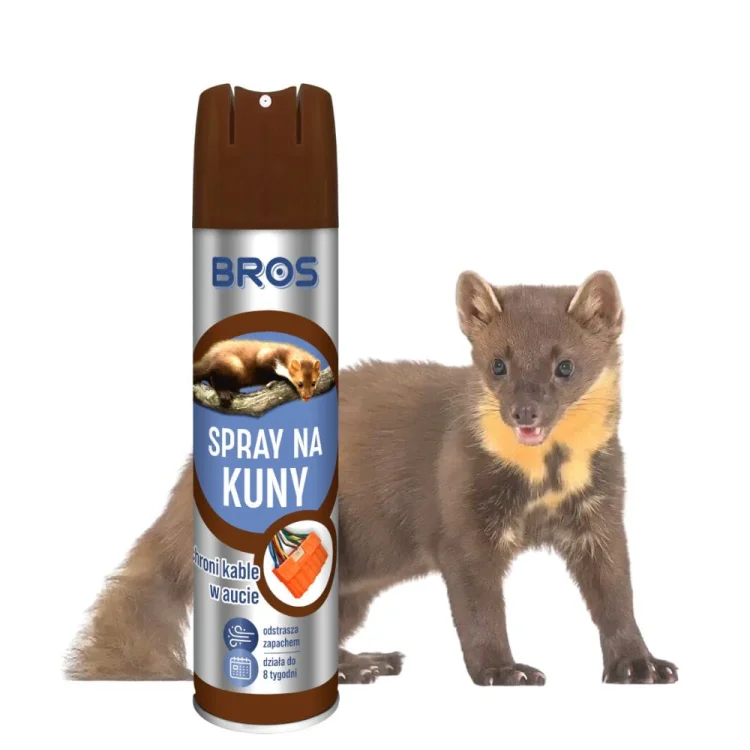 bros-na-kuny (1).jpg