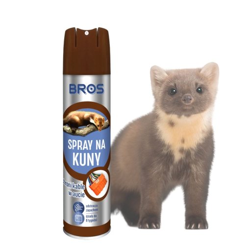bros-na-kuny (3).jpg