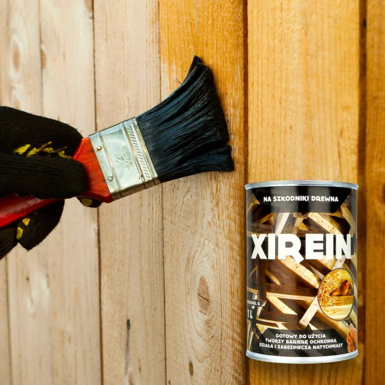 xirein (3).jpg