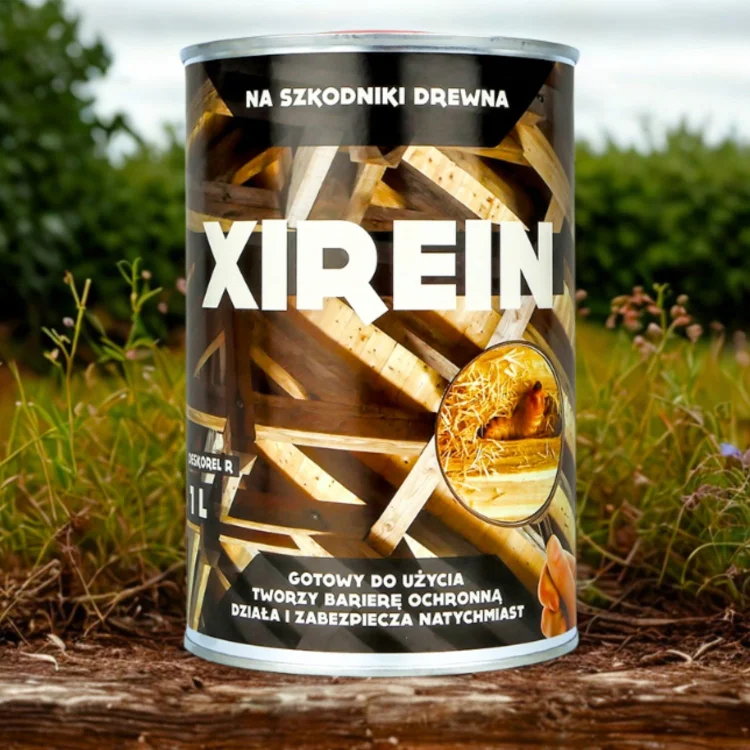 xirein (2).jpg