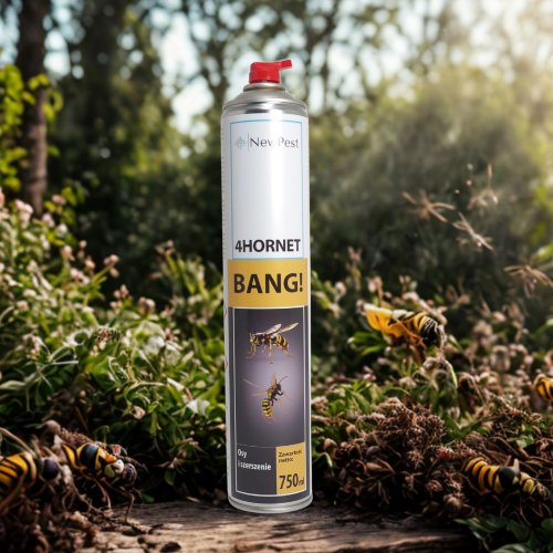 bang (2).jpg