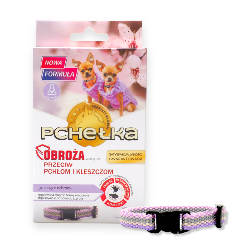 pchelka main.png