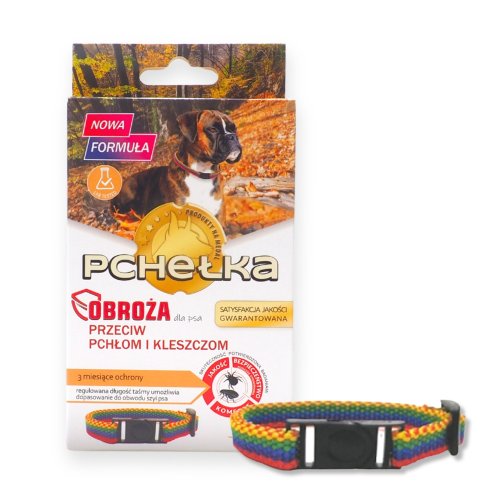 pchelka main (1).jpg