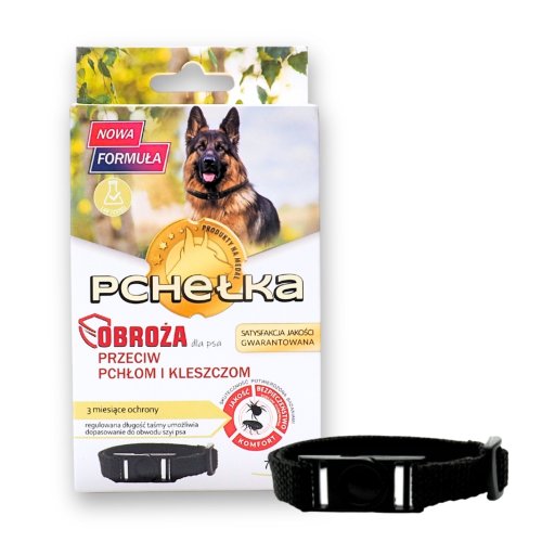 pchelka main (2).jpg