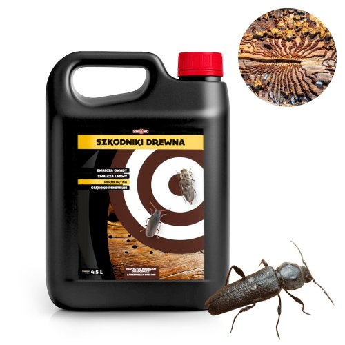szkodniki drewna.jpg