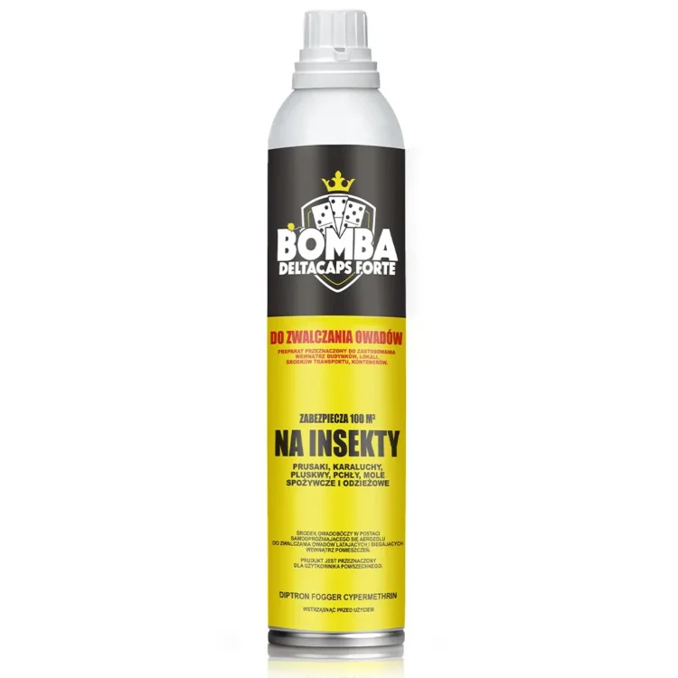 bomba (2).jpg