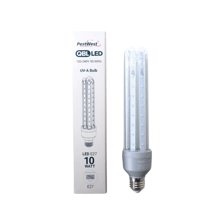 SWIETLOWKA.jpg