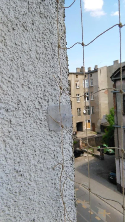 Zaczep uchwyt do siatki na balkon ptaki dla kota