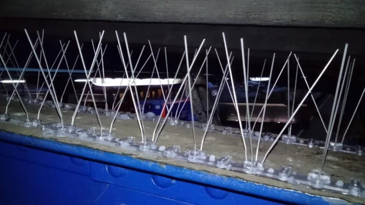 Kolce odstraszajace ptaki Jacopic typ V  - 50cm na ptaki wrony odstraszacz ptakow
