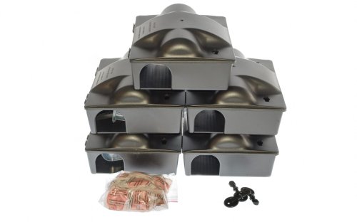 5 karmnikow deratyzacyjnych DX z trutka 200g GRATIS