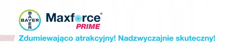 MAXFORCE PRIME ZEL NA KARALUCHY KARACZANY PRUSAKI