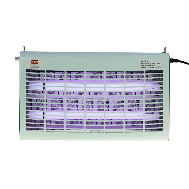 wesb60B (5).jpg