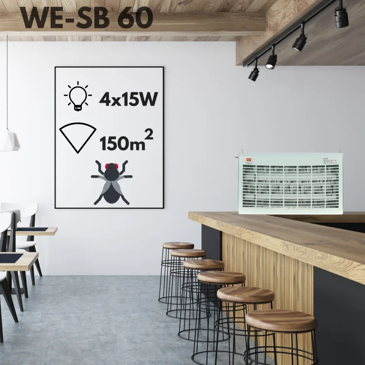 wesb60.png