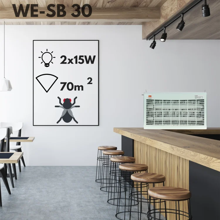 wesb30.png