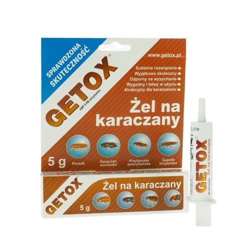 getoxzel (1).jpg