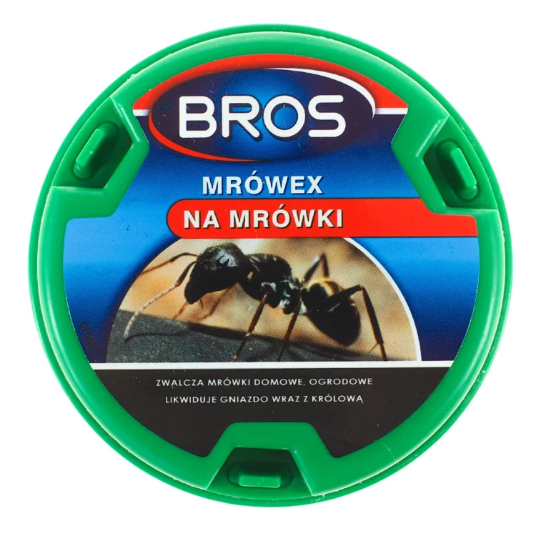 mrówex (1).jpg