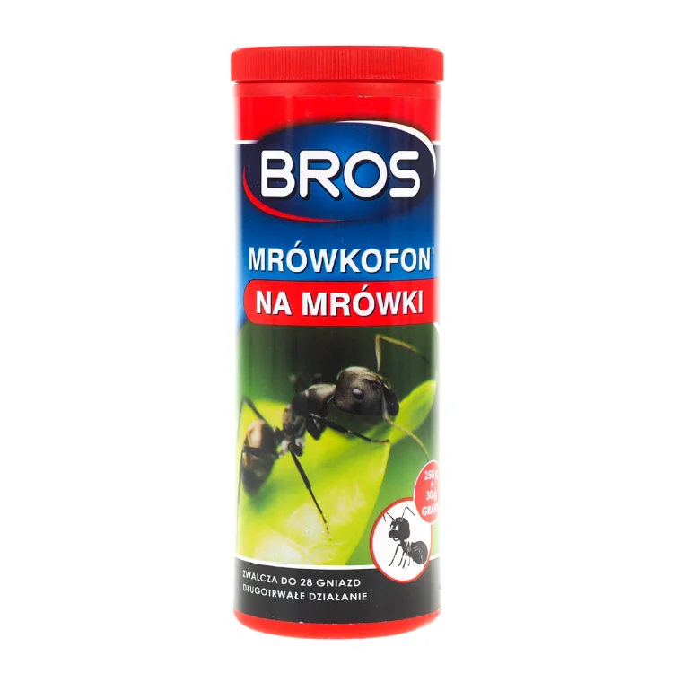 mrówkofon.jpg