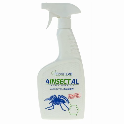 4insect paj.jpg