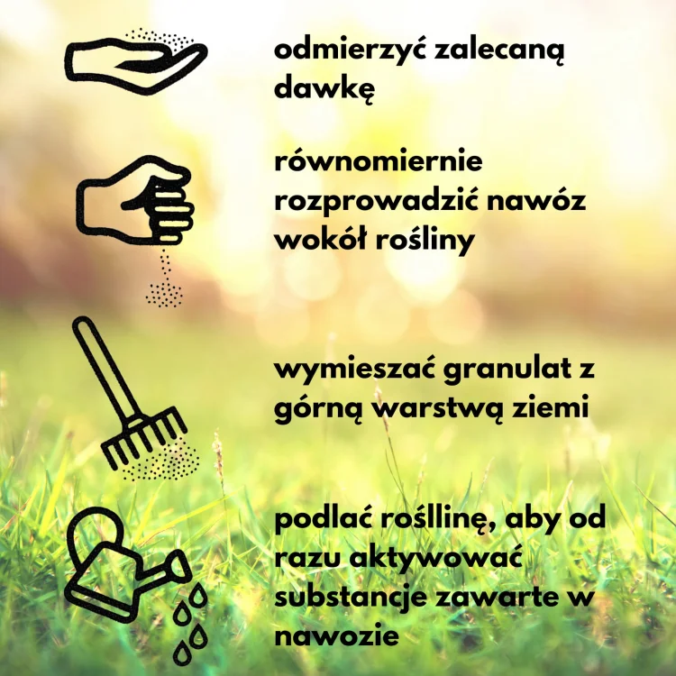 Biopon - Nawoz do iglakow dlugodzialajacy w granulkach 1kg