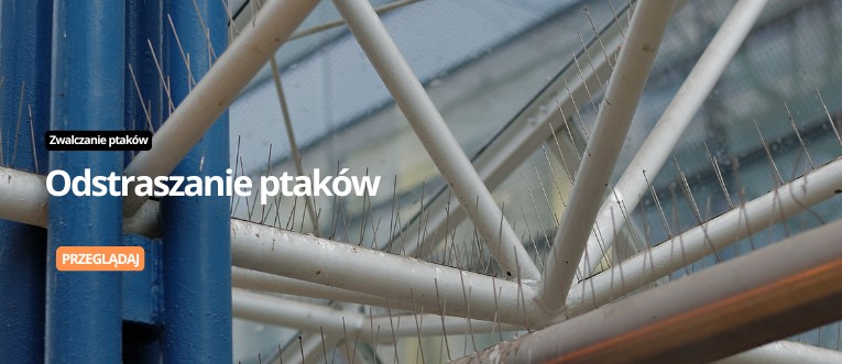 odstraszanie-ptakow